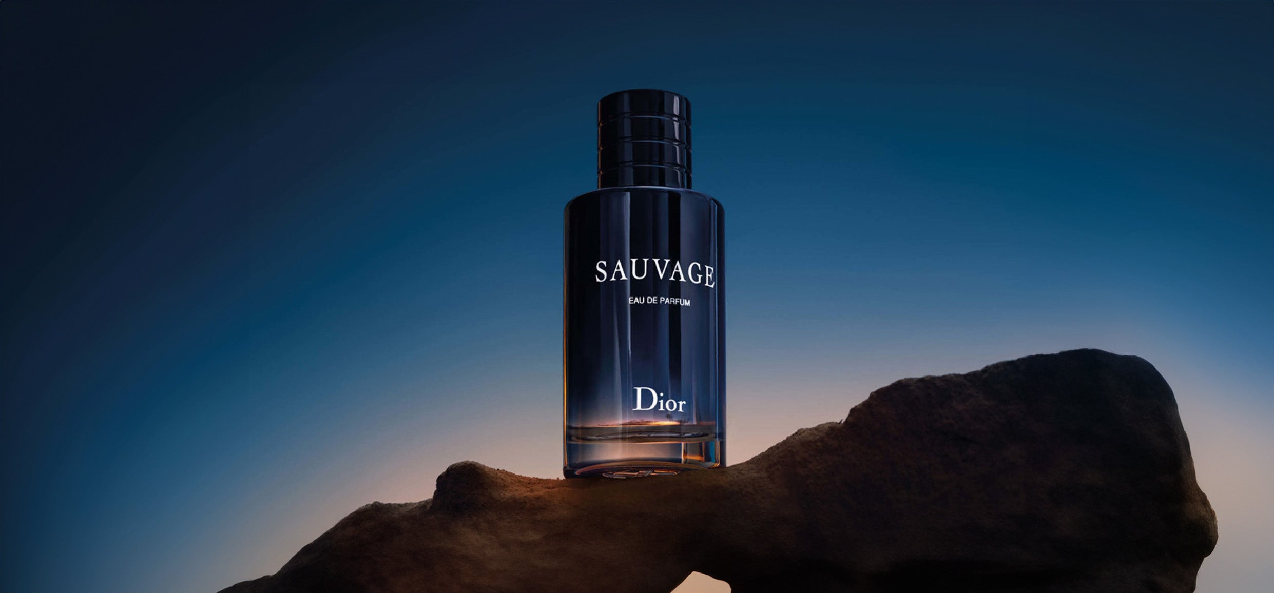 Dior Sauvage EDP Review: A blend of Intensity and Refinement - My Perfume Shop