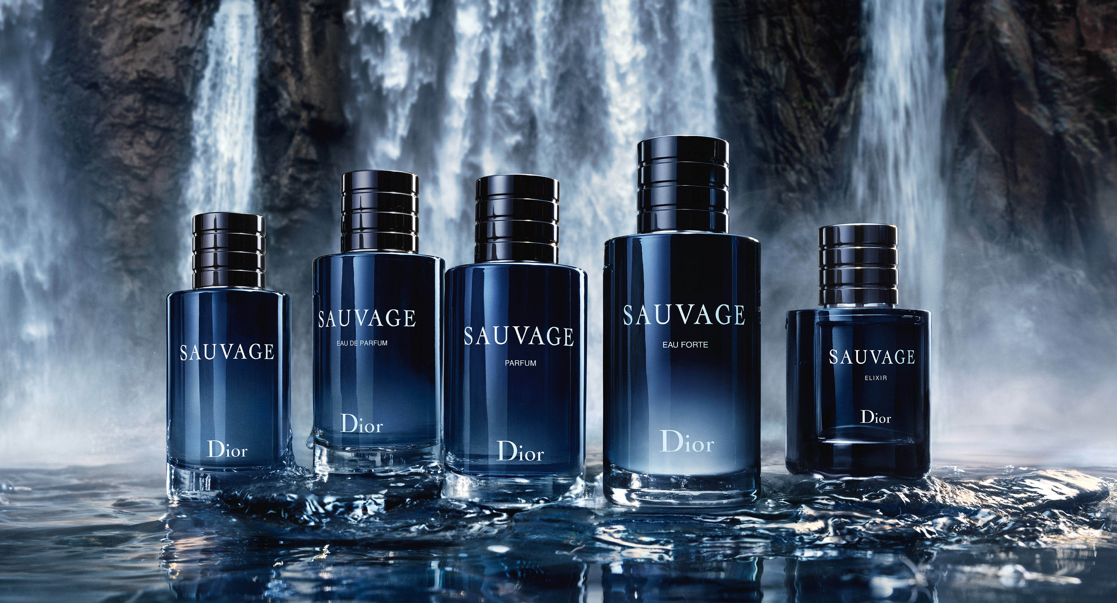 Dior Sauvage EDT Review: The Wild and Bold Fragrance - My Perfume Shop