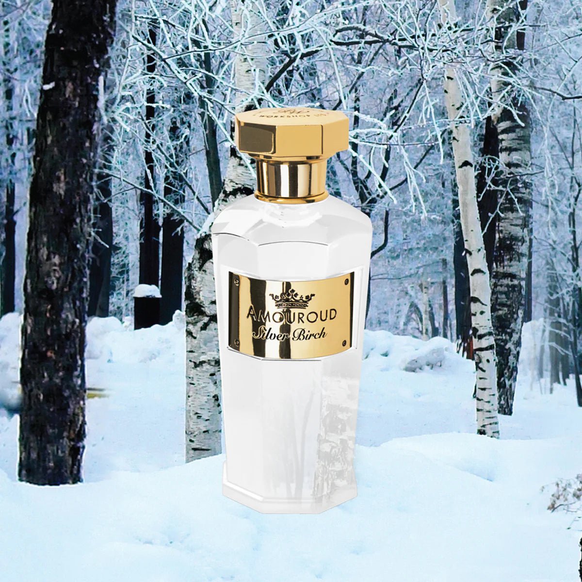 Amouroud Silver Birch Parfum | My Perfume Shop