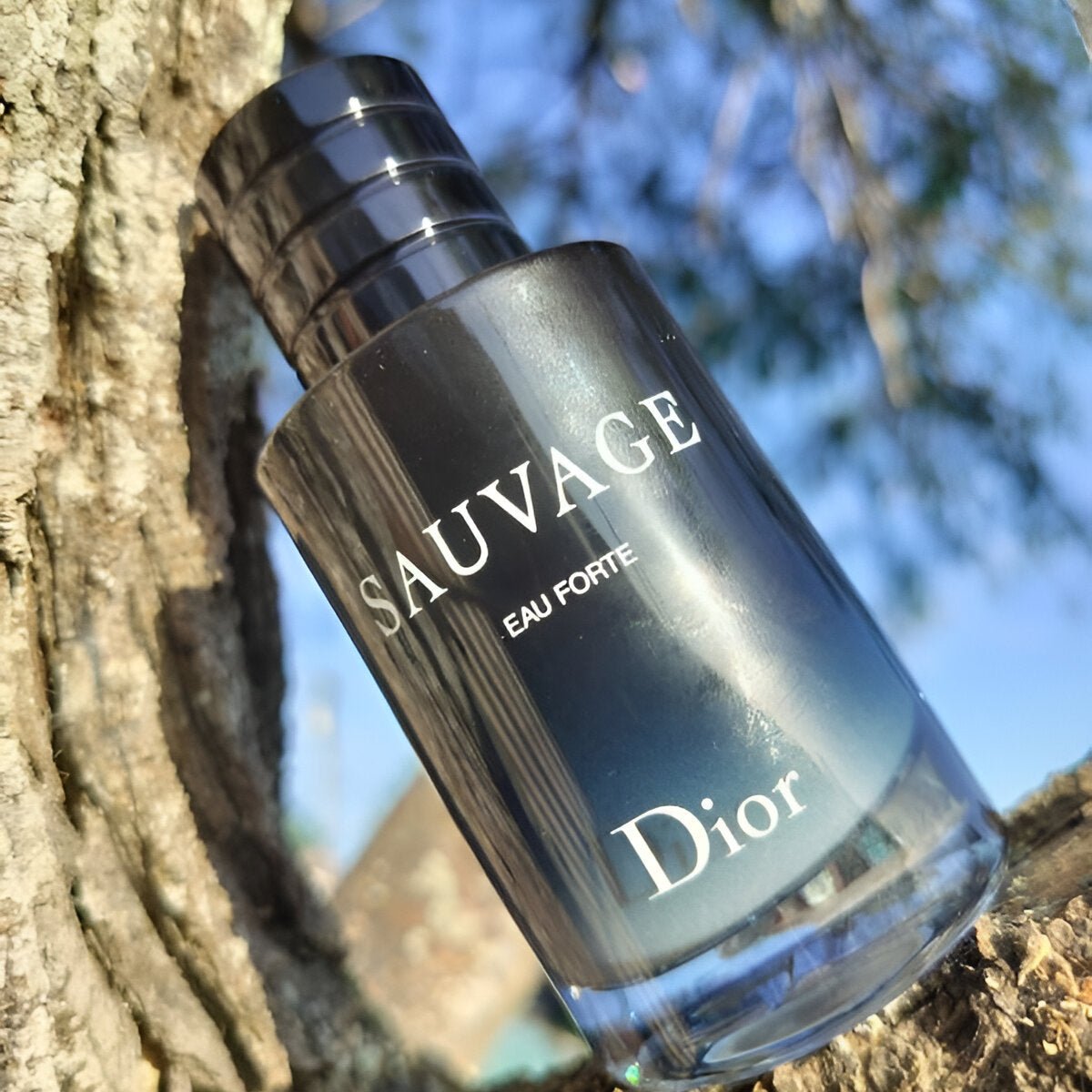 Christian Dior Sauvage Eau Forte Parfum Alcohol - Free | My Perfume Shop