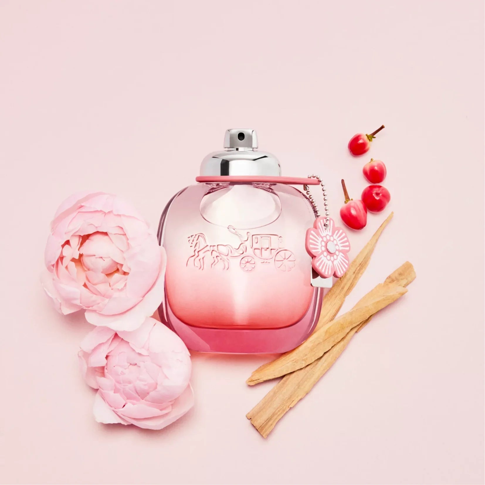 Coach Floral Body Lotion | My Perfume Shop