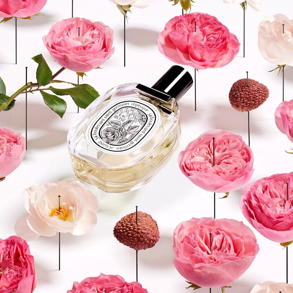 Diptyque Eau Rose EDT | My Perfume Shop