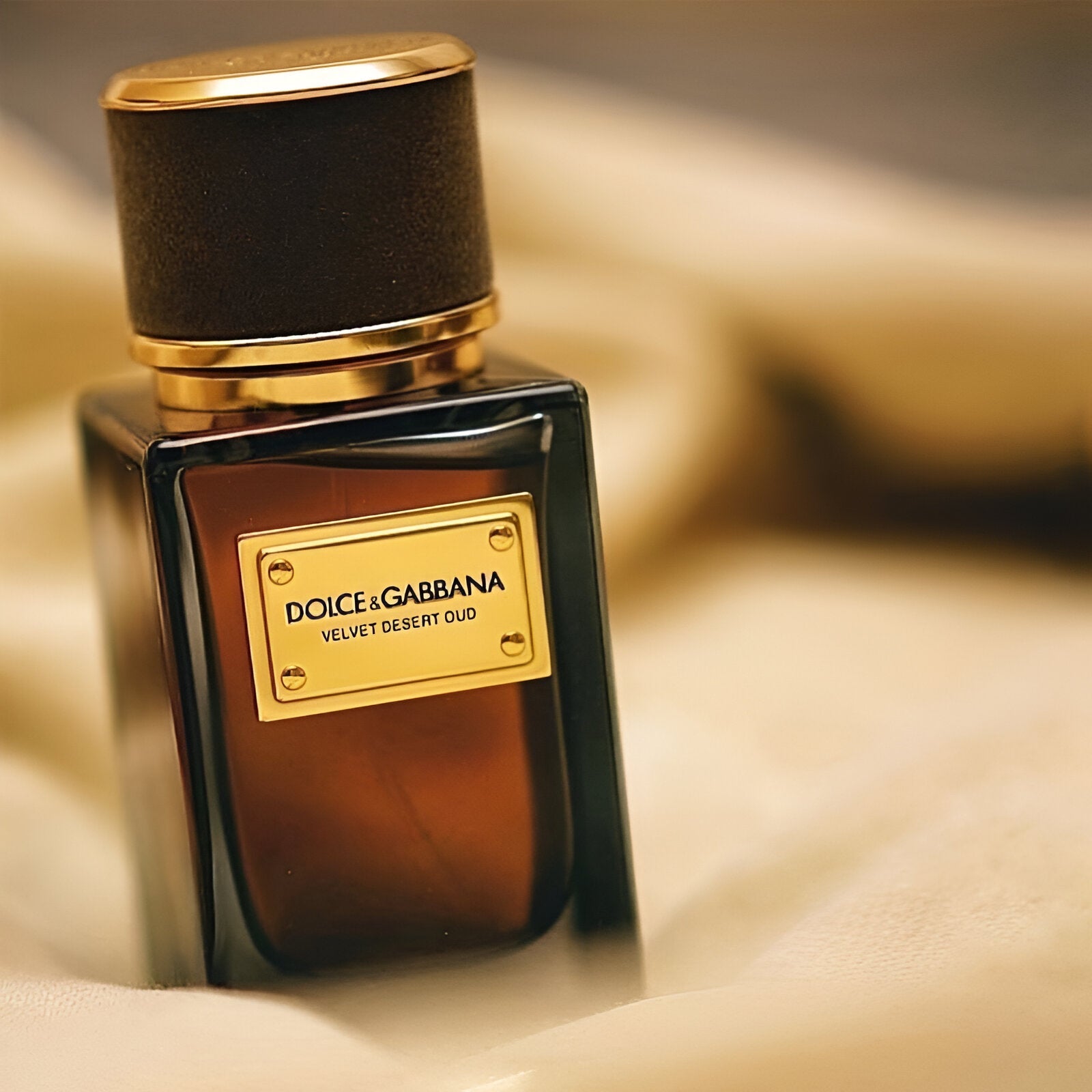 Dolce & Gabbana Velvet Desert Oud EDP | My Perfume Shop