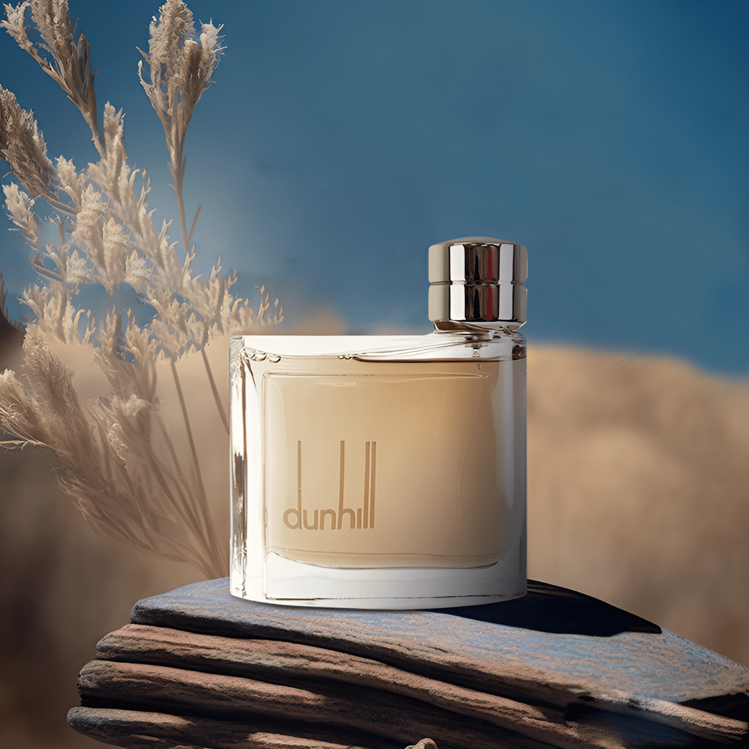 Dunhill Brown EDT | My Perfume Shop