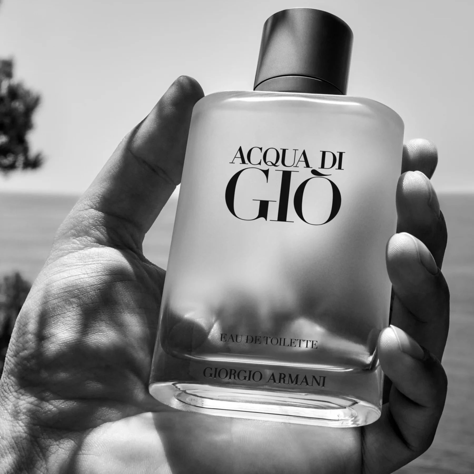 Giorgio Armani Acqua di Gio EDT Travel Spray Set | My Perfume Shop