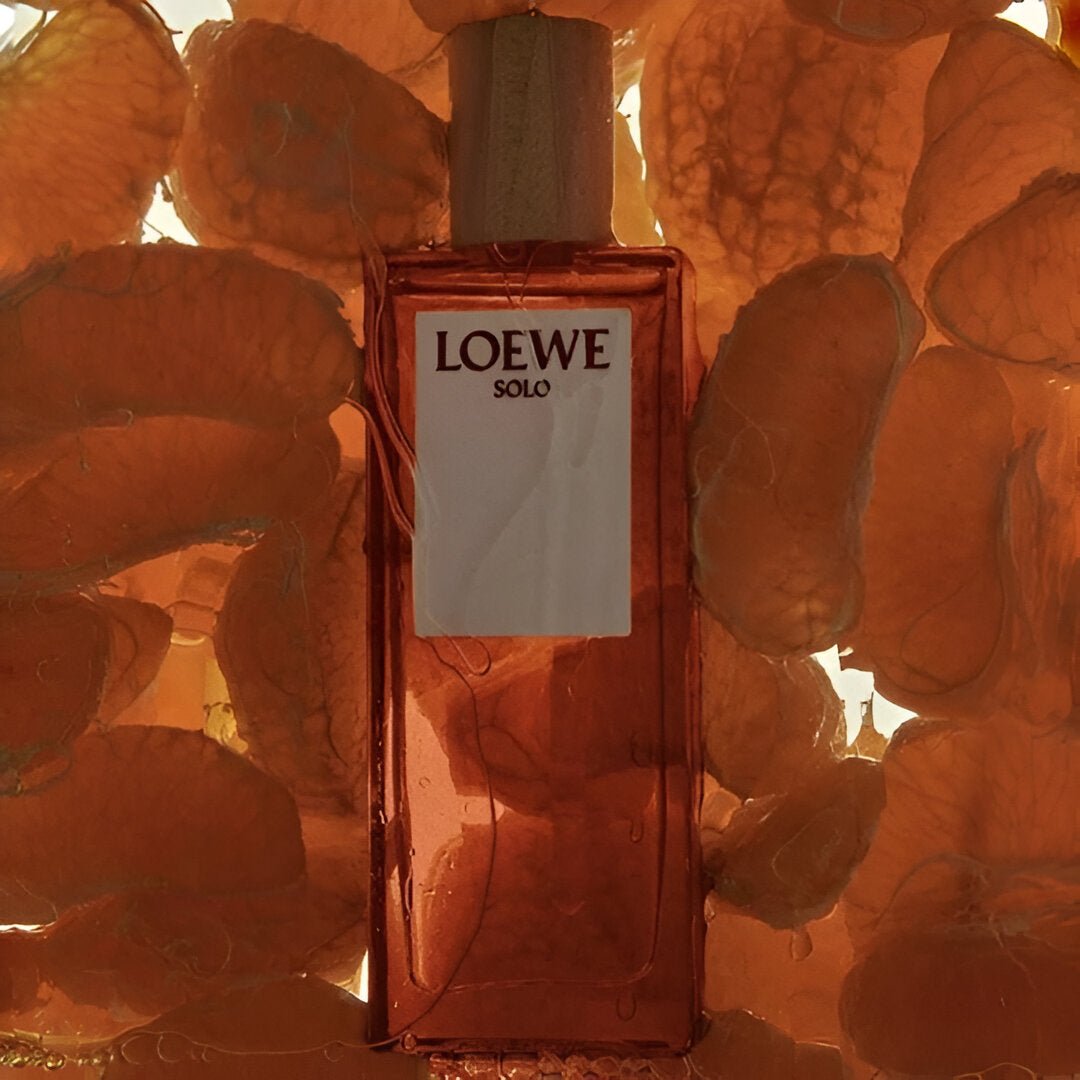 Loewe Solo Loewe EDT | My Perfume Shop