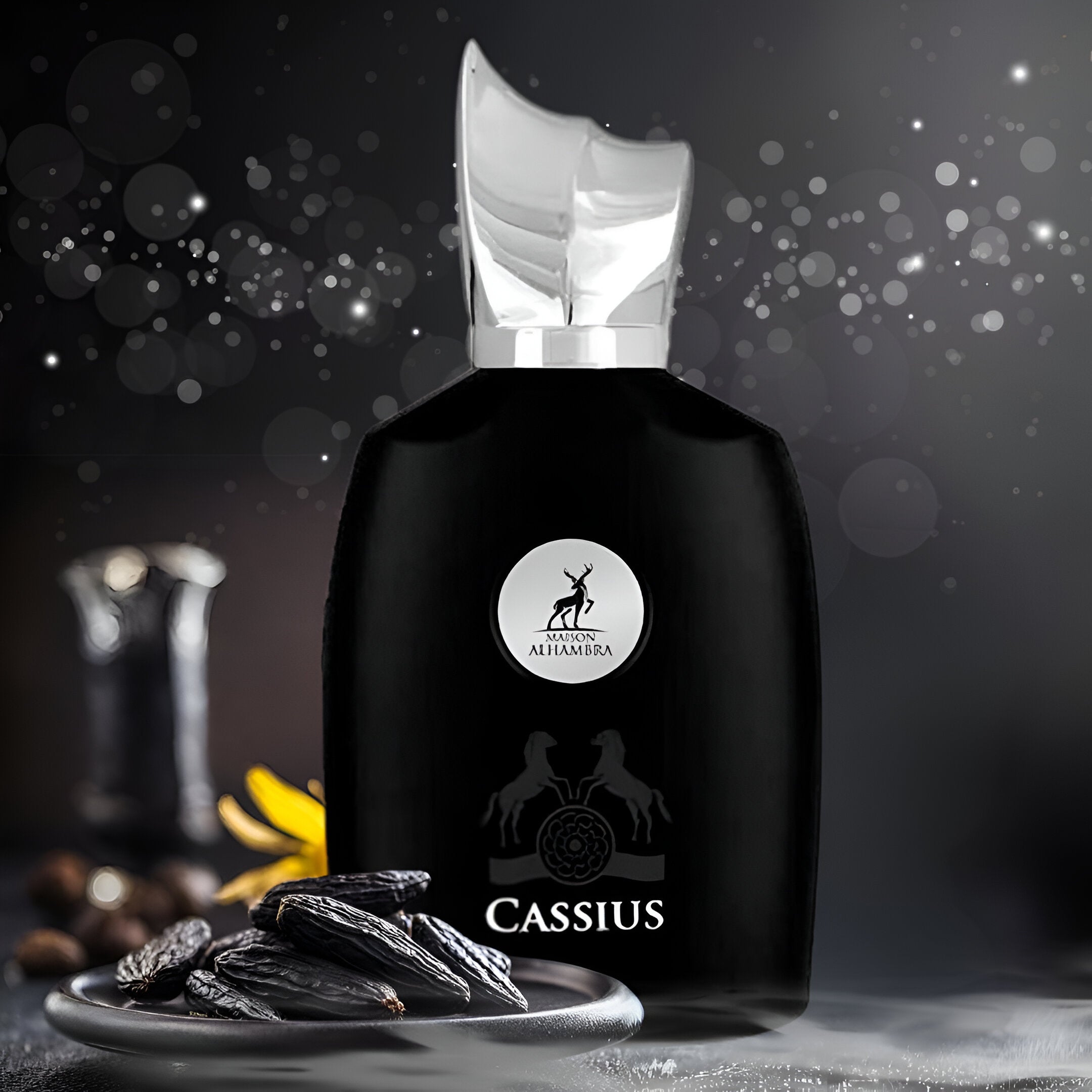 Maison Alhambra Cassius EDP | My Perfume Shop