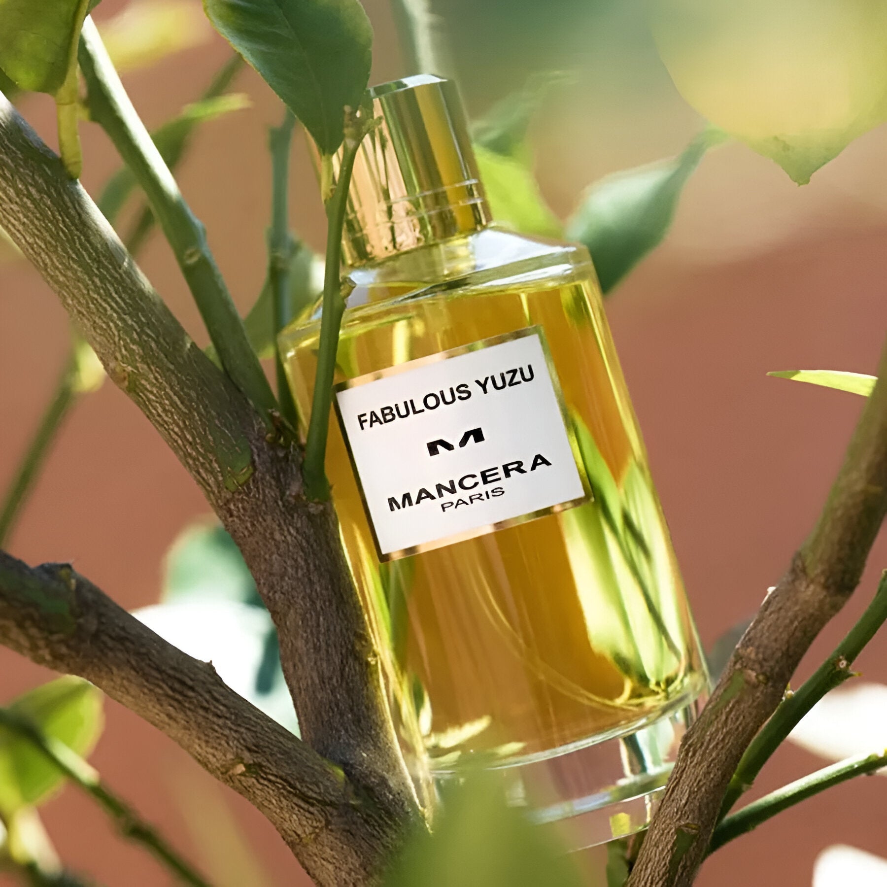 Mancera Fabulous Yuzu EDP | My Perfume Shop