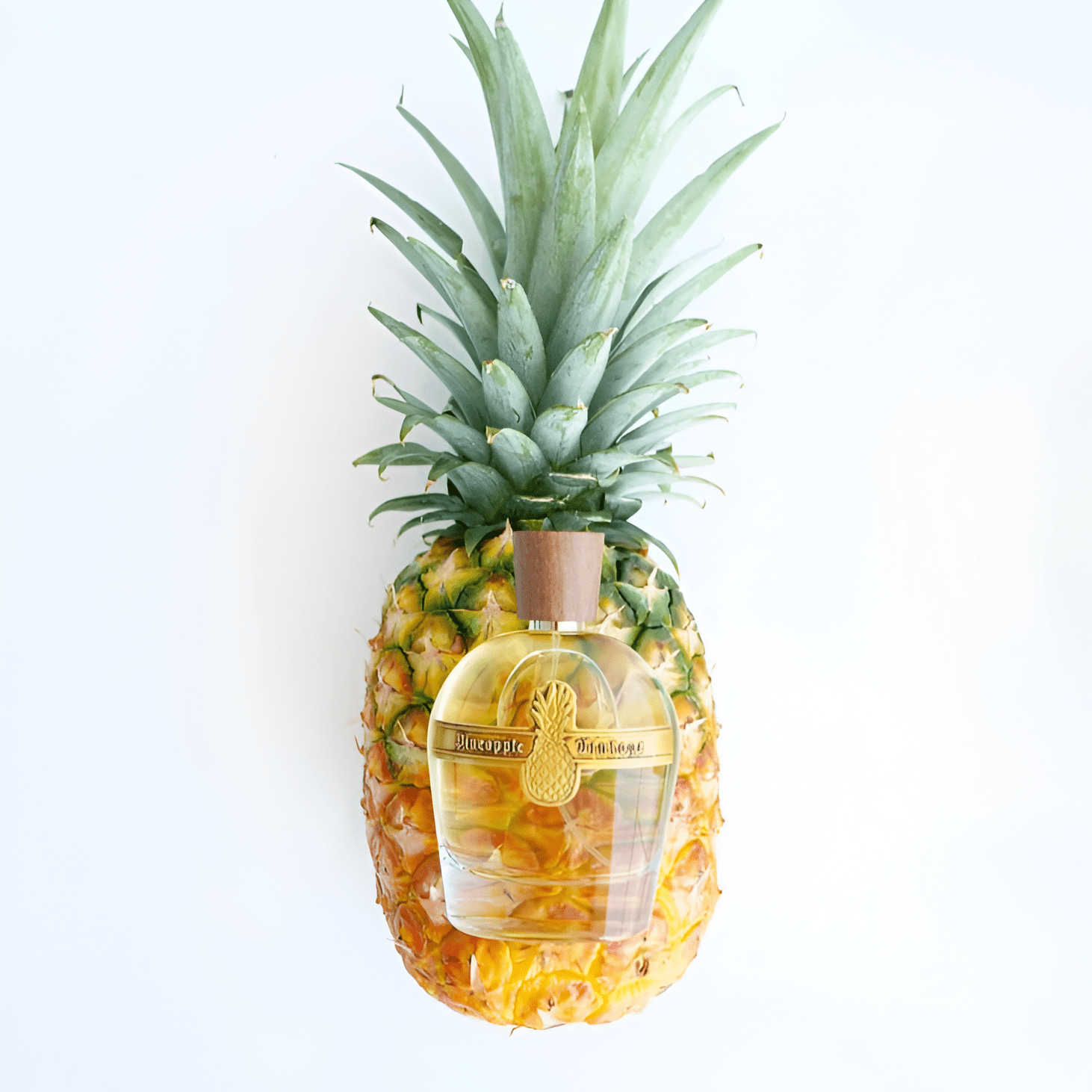 Pineapple Parfums Vintage Intense Gold EDP | My Perfume Shop