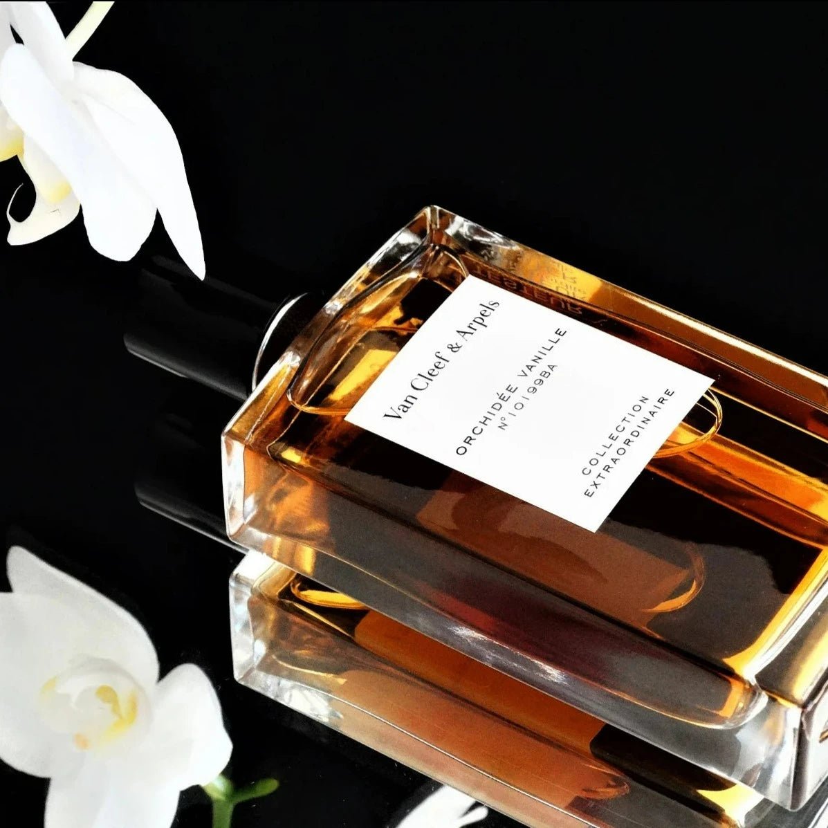 Van Cleef & Arpels Orchidee Vanille EDP | My Perfume Shop