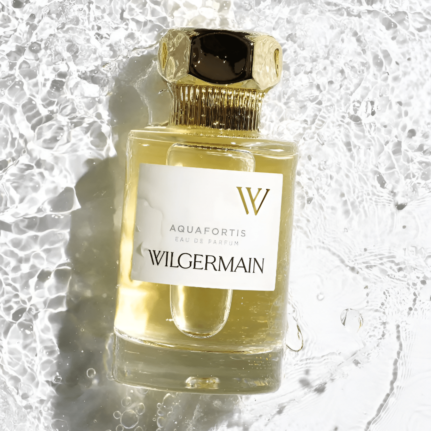 Wilgermain Aquafortis EDP | My Perfume Shop