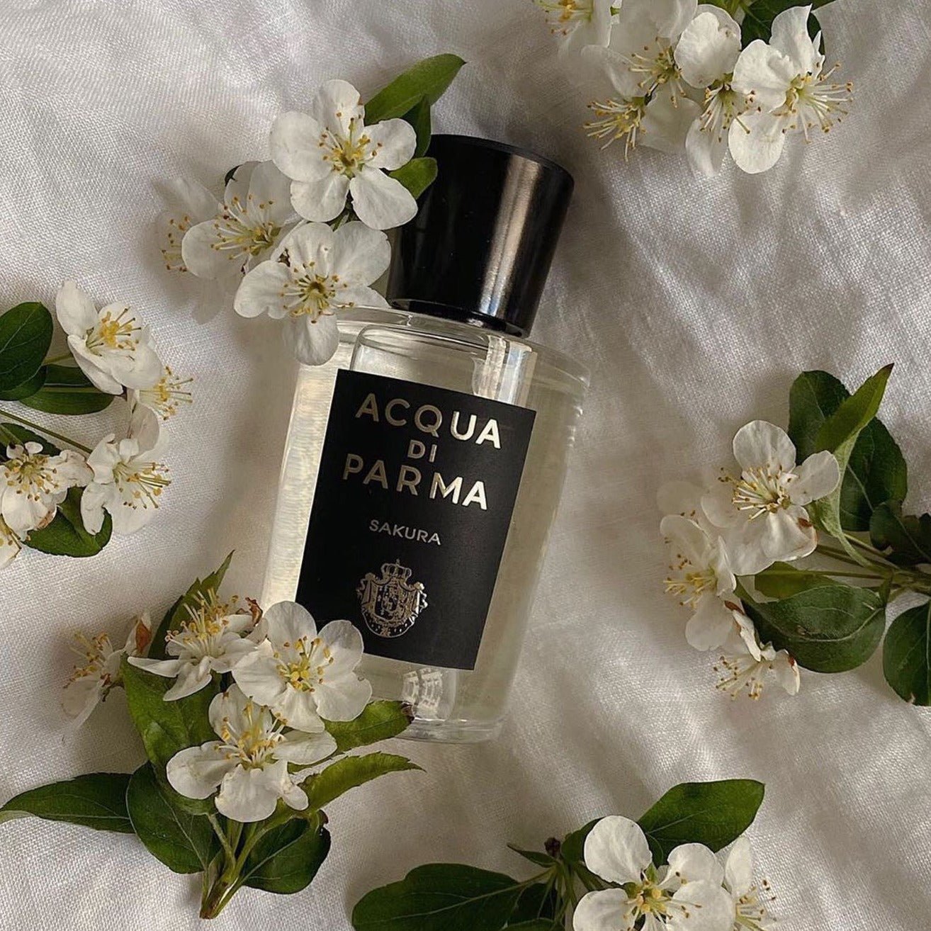 Acqua Di Parma Sakura EDP | My Perfume Shop