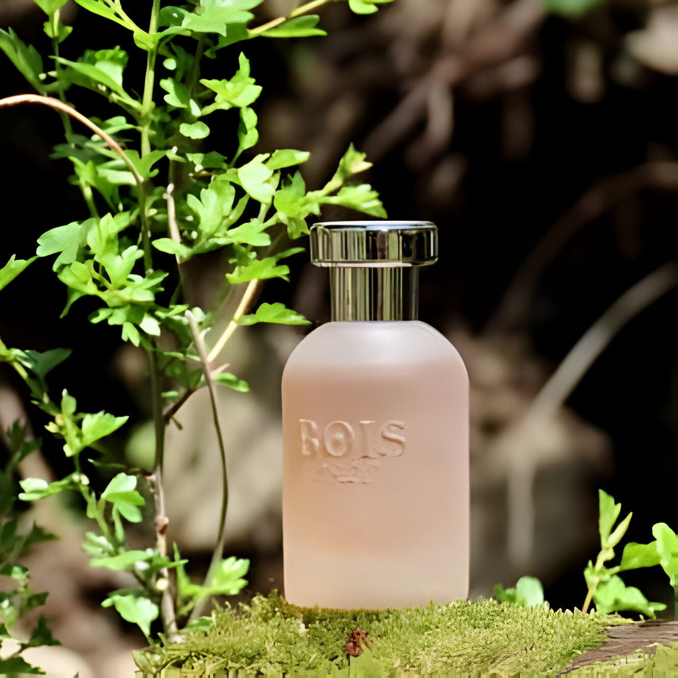 Bois 1920 Come L'Amore EDP | My Perfume Shop