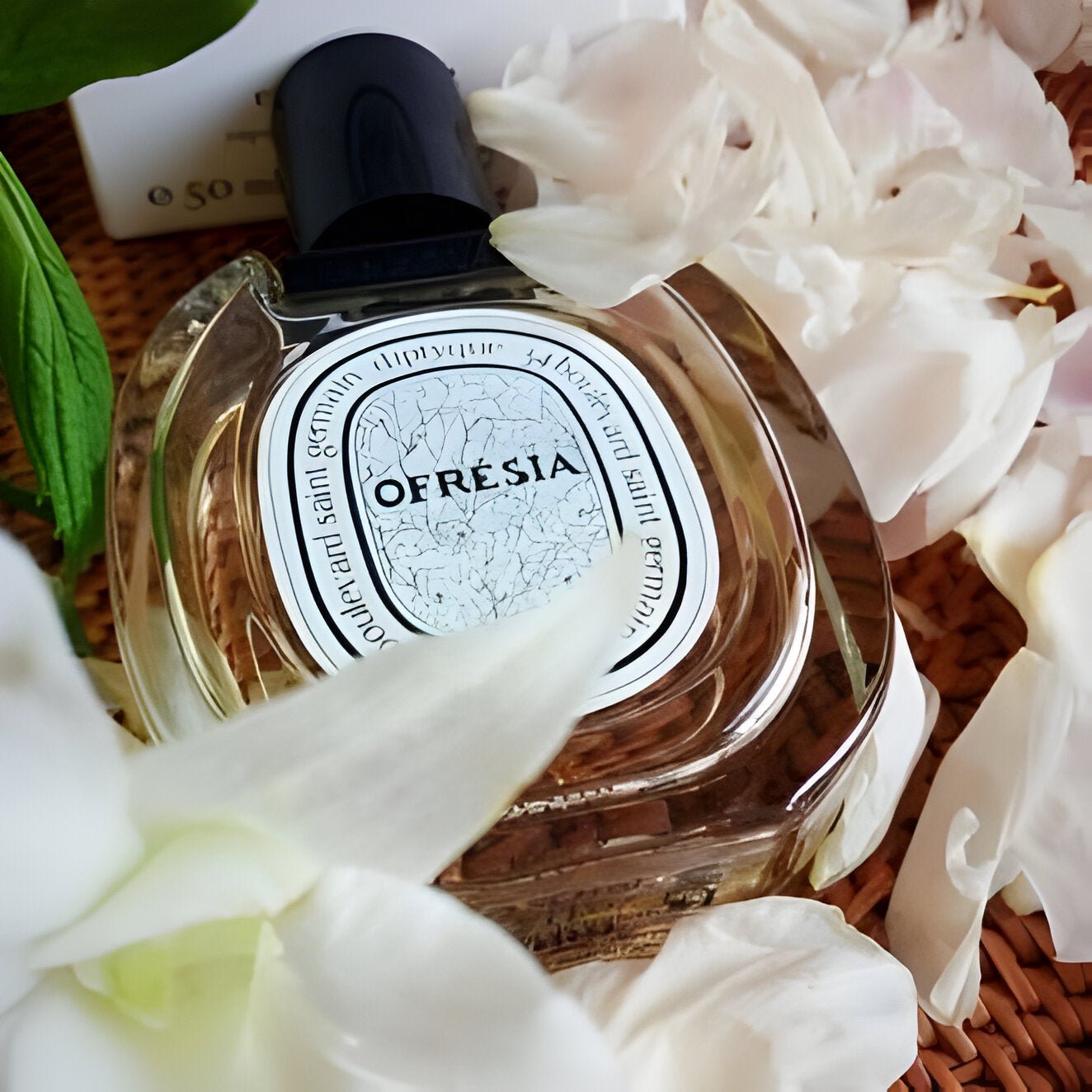 Diptyque Ofresia EDT | My Perfume Shop