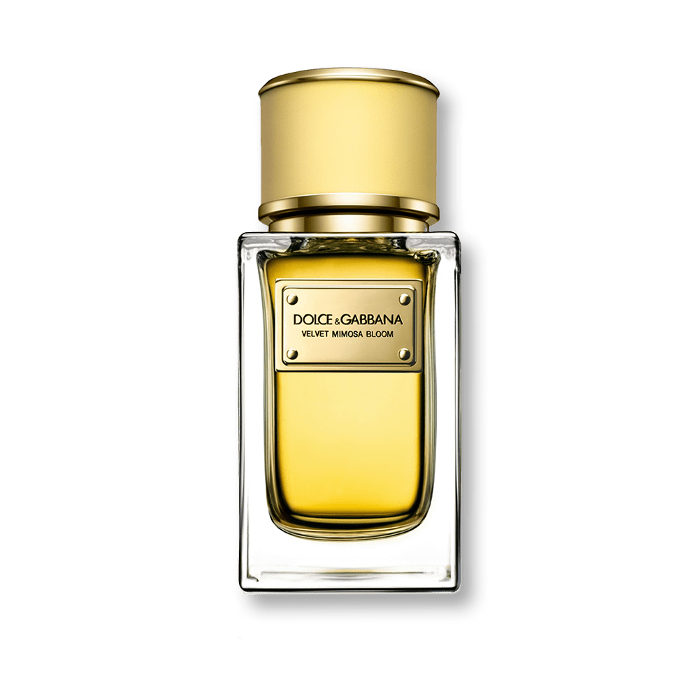 Dolce & Gabbana Velvet Mimosa Bloom EDP | My Perfume Shop