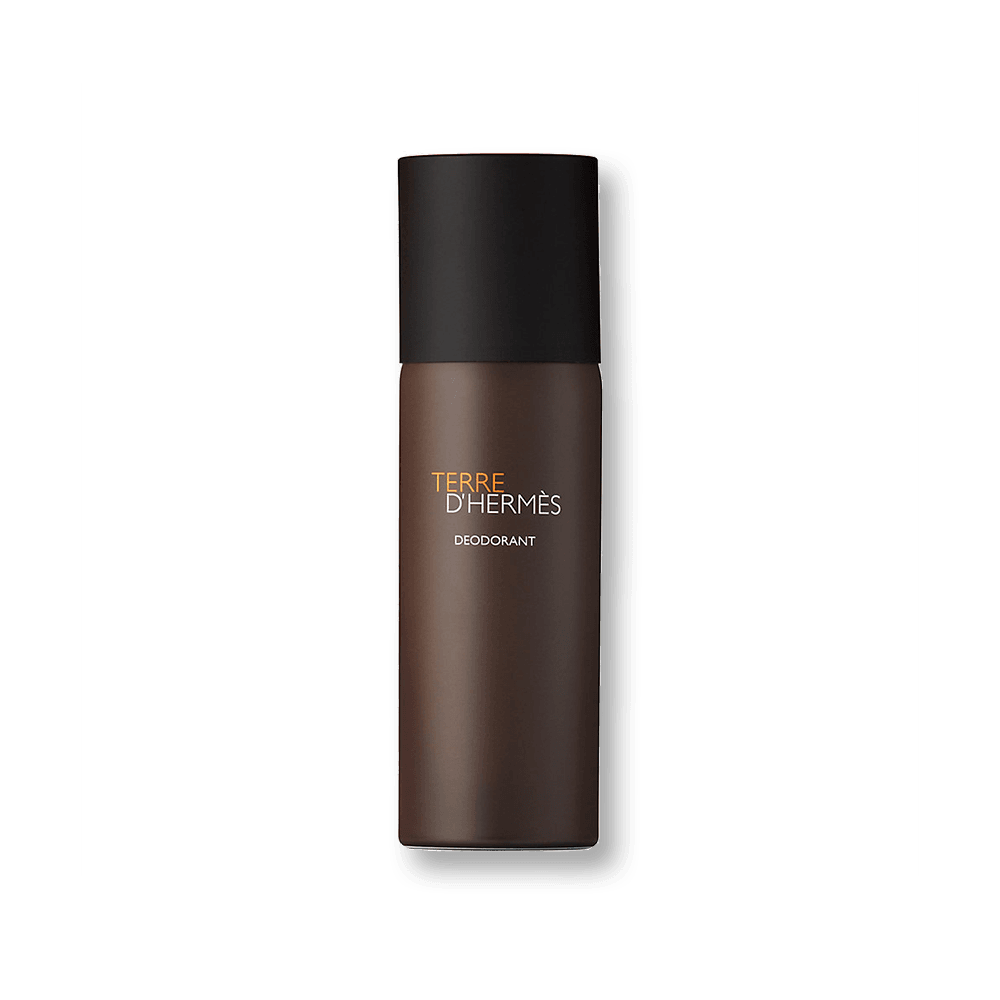 HERMÈS Terre d'HERMÈS Deodorant Stick | My Perfume Shop