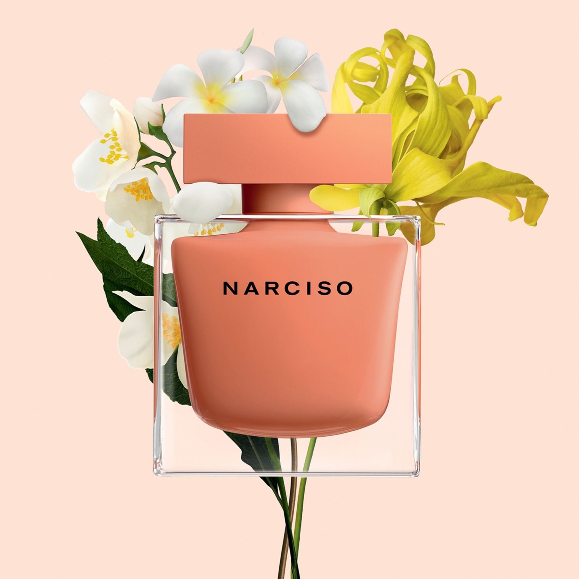 Narciso Rodriguez Narciso Ambree EDP | My Perfume Shop