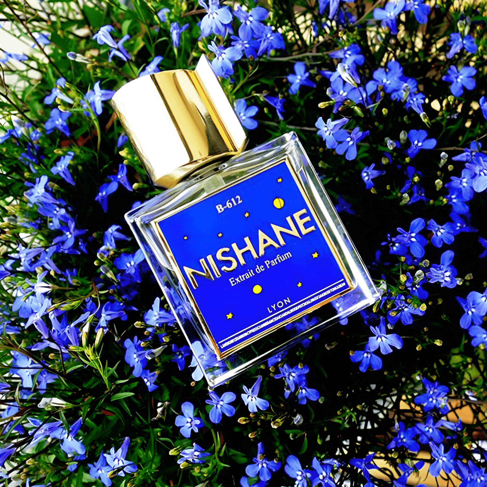 Nishane B - 612 Extrait De Parfum | My Perfume Shop